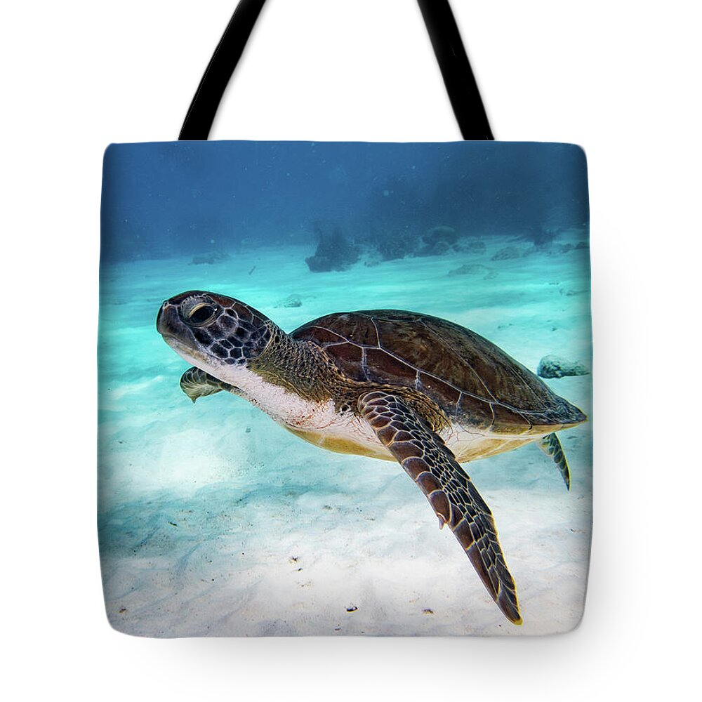 Turtle Tote Bag featuring the photograph Sea Turtle by Brian Weber