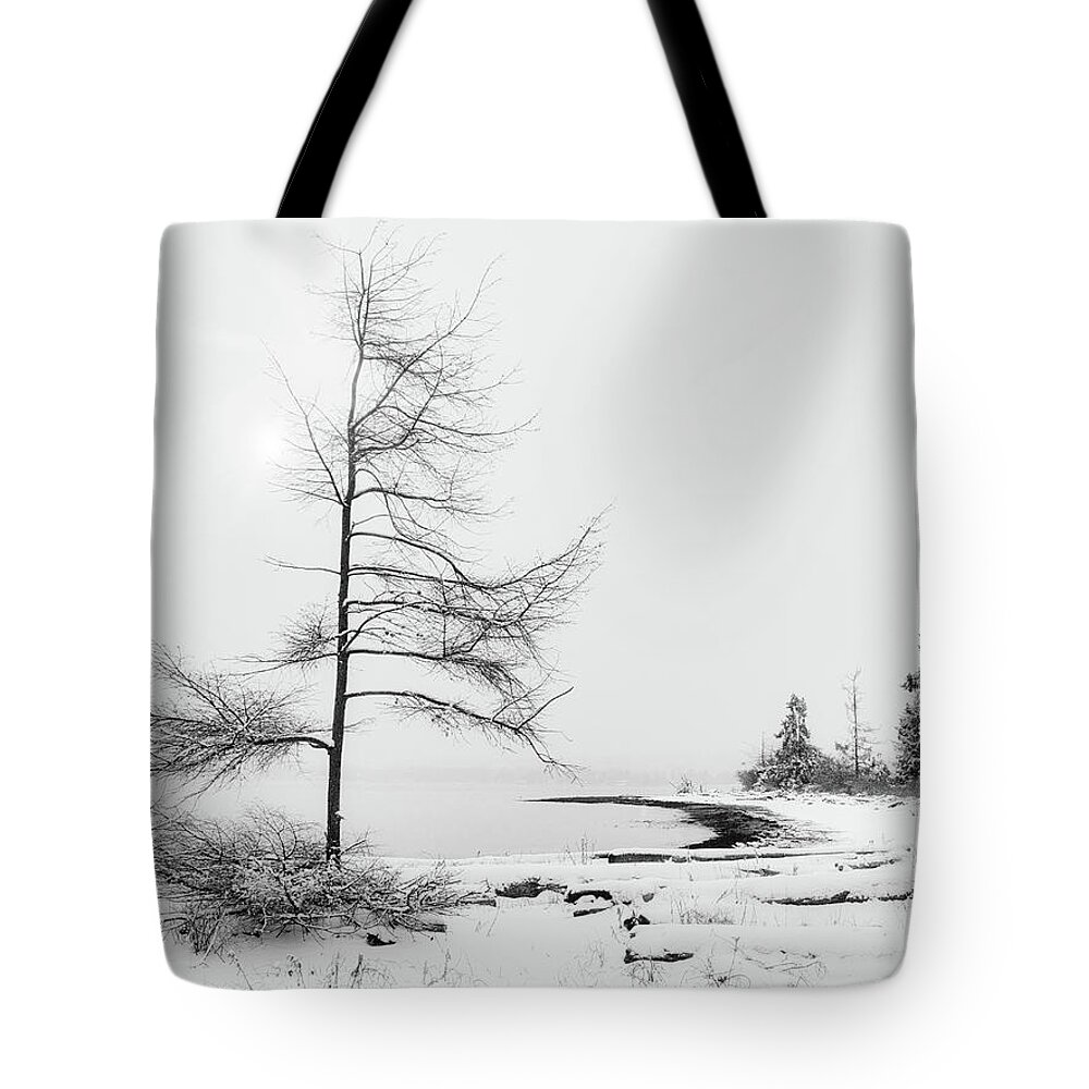 Landscape Tote Bag featuring the photograph Seaborne Trees and Sun Black and White by Allan Van Gasbeck