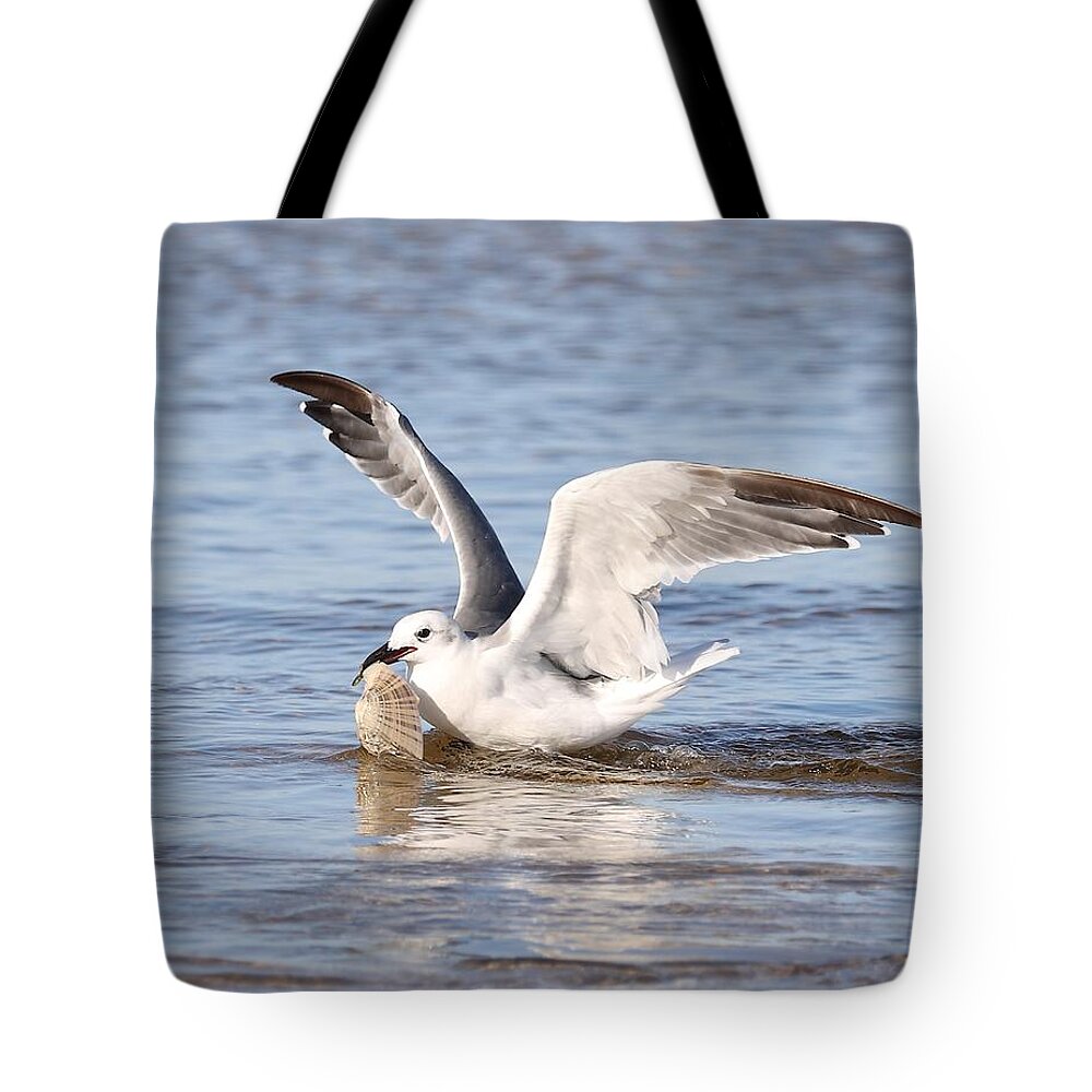 Seagull Tote Bag featuring the photograph Seagull and Its Catch by Mingming Jiang