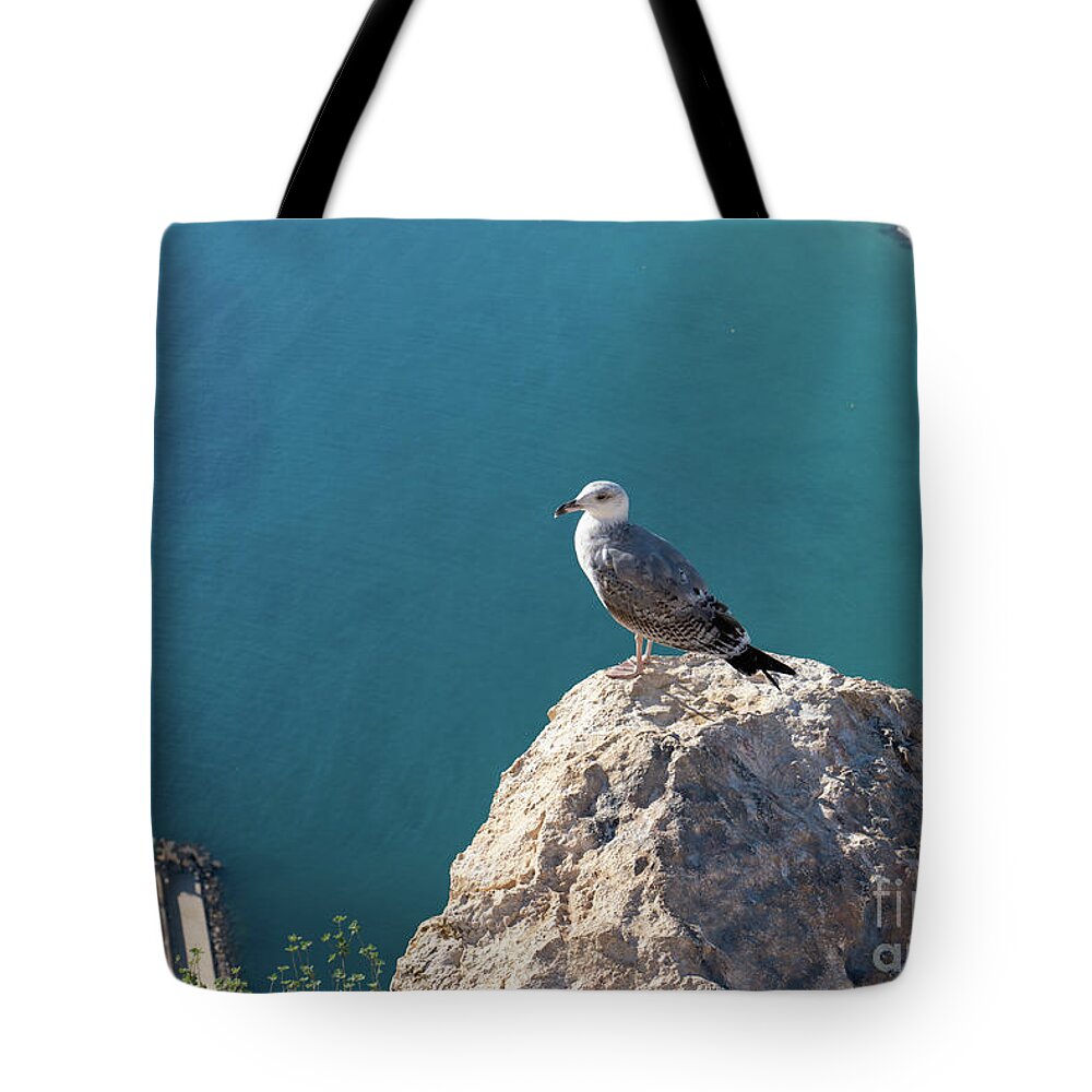 Seagull Tote Bag featuring the photograph Seagull and the blue Mediterranean Sea by Adriana Mueller