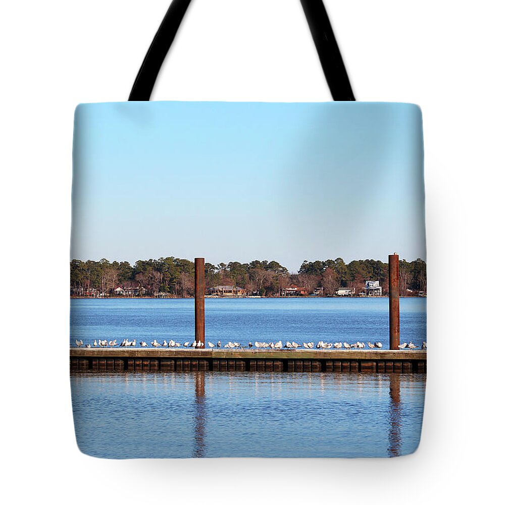 Seagull Tote Bag featuring the photograph Seagull Gathering On Pier by Cynthia Guinn