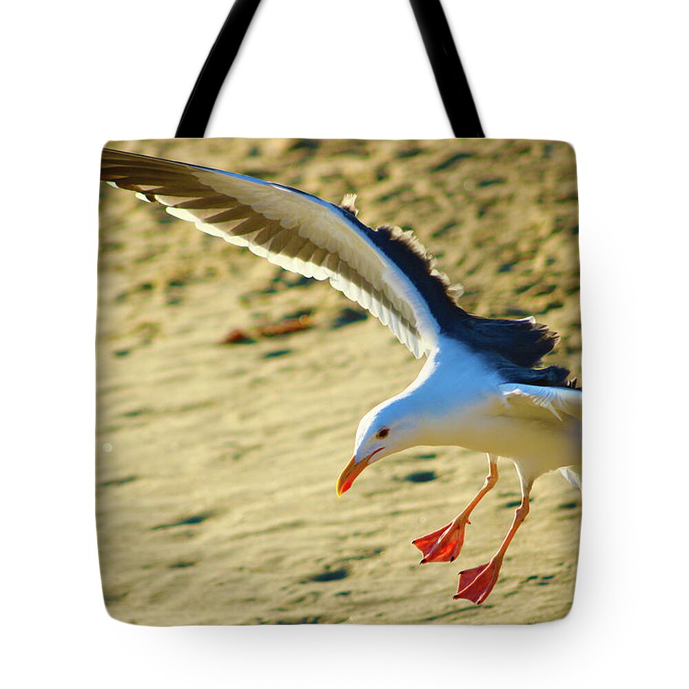 Birds Tote Bag featuring the photograph Seagull in Motion by Marcus Jones