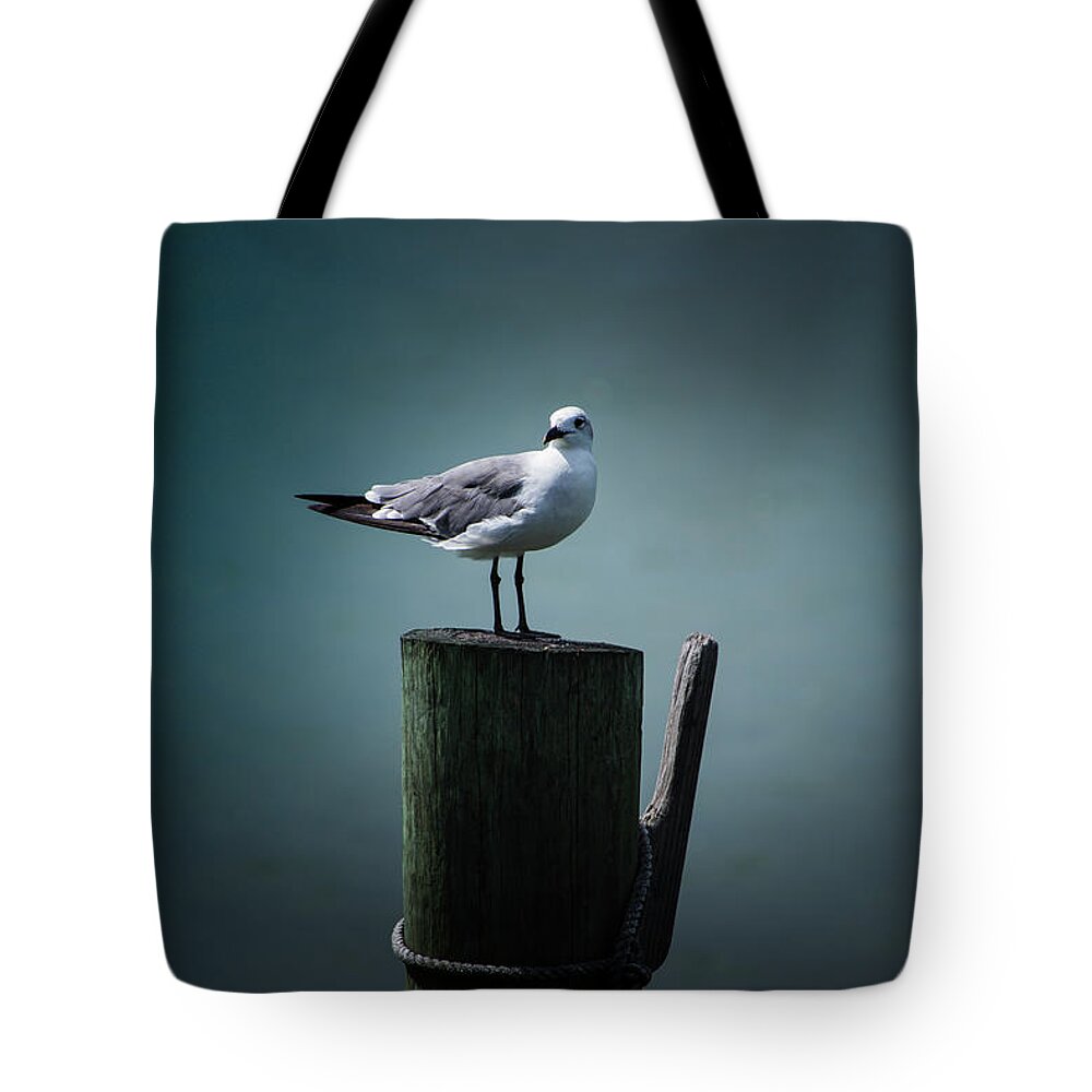 Seagull Tote Bag featuring the photograph Seagull Lookout by Blair Damson