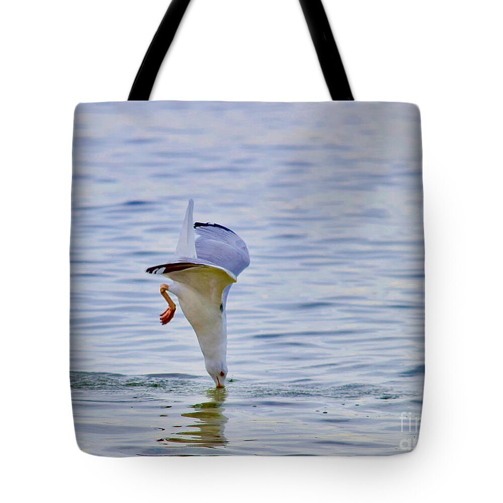 Seagull Tote Bag featuring the photograph Seagull Ocean Nose Dive by Debra Banks