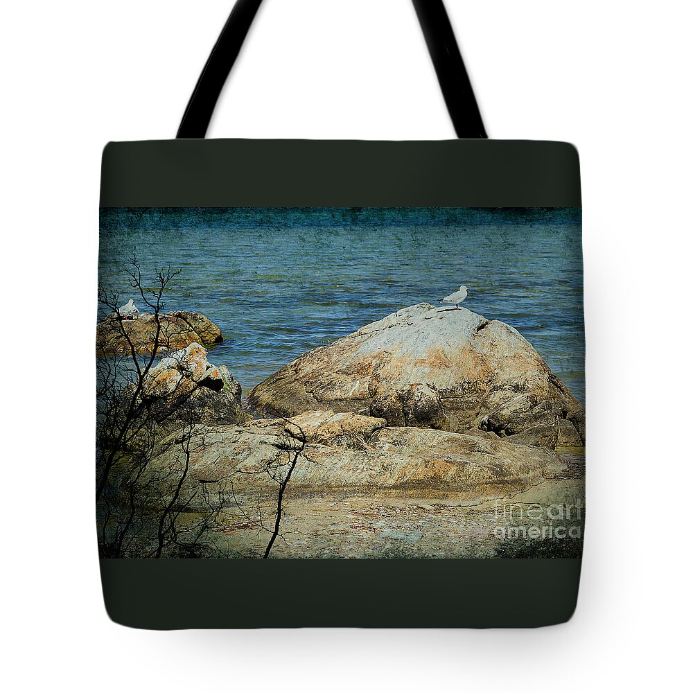 Rocks Tote Bag featuring the photograph Seagull on a Rock by Elaine Teague