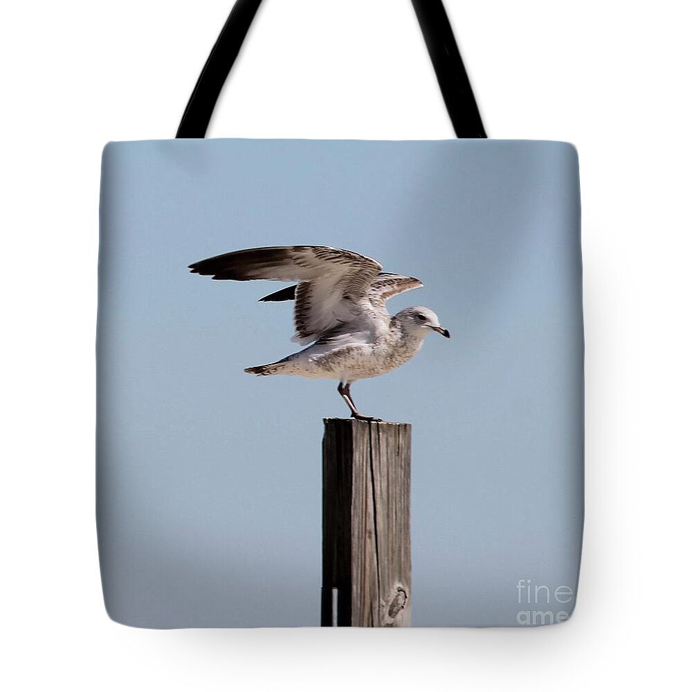 Seagull Tote Bag featuring the photograph Seagull on Post by Catherine Wilson