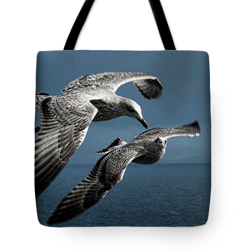 Bird Tote Bag featuring the photograph Seagulls Flying Formation by Andreas Berthold