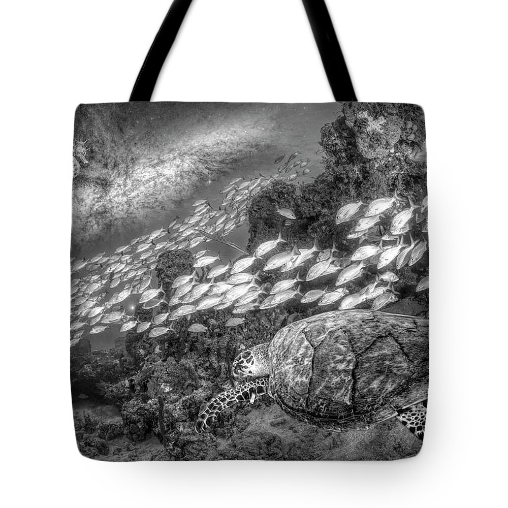 Underwater Tote Bag featuring the photograph Seahorse and Turtle Black and White by Debra and Dave Vanderlaan
