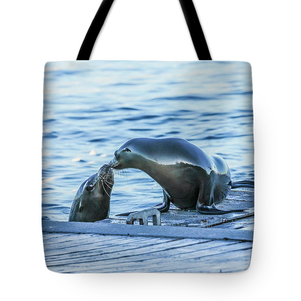 Seals Tote Bag featuring the photograph Seal Love by Tahmina Watson