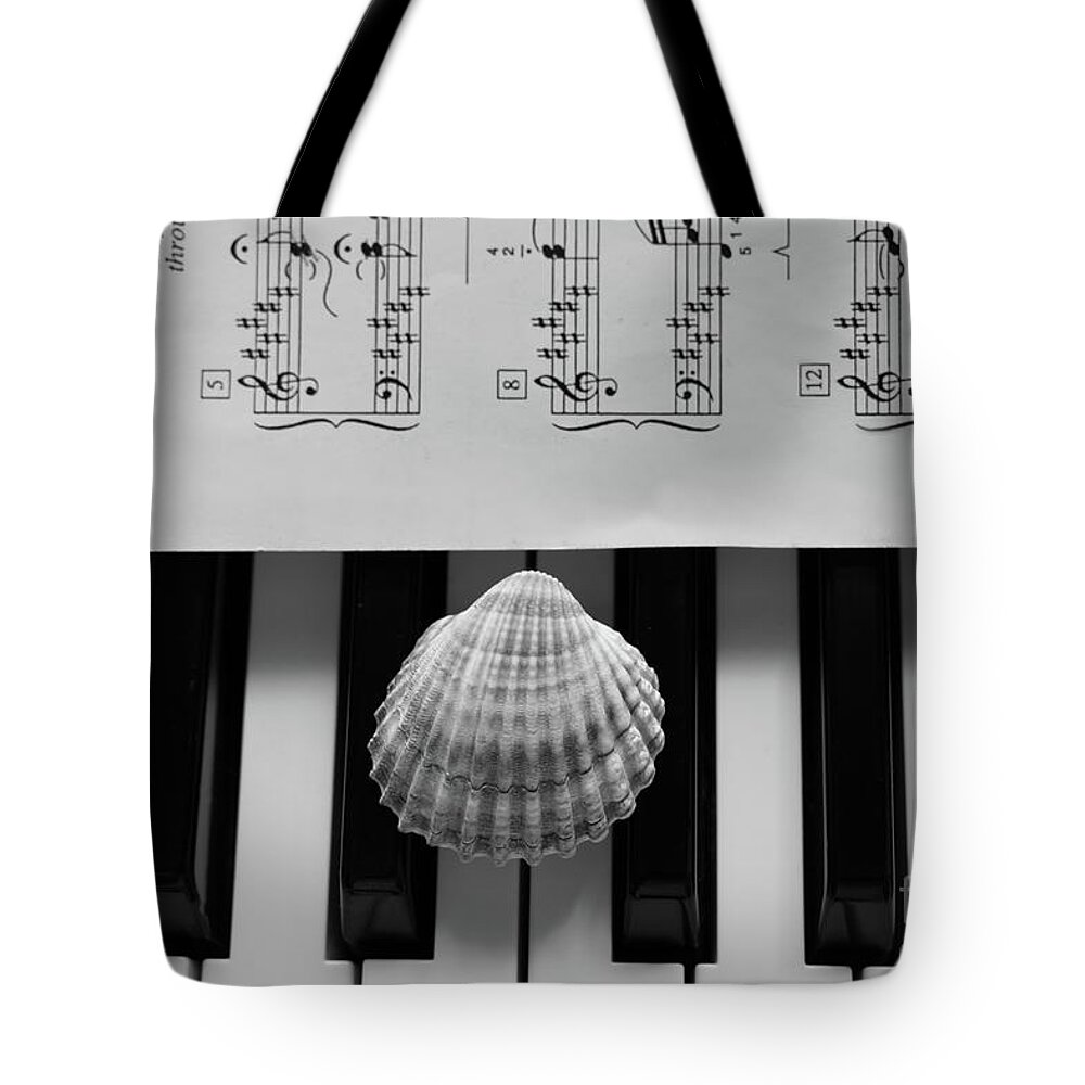 Nature Tote Bag featuring the photograph Seashell Dream On The Piano 2 BNW by Leonida Arte