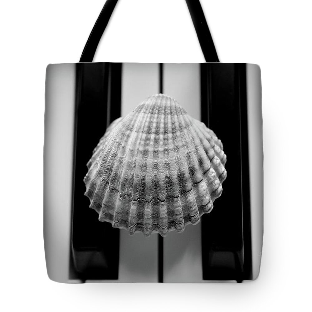 Nature Tote Bag featuring the photograph Seashell Dreams On The Piano BNW by Leonida Arte