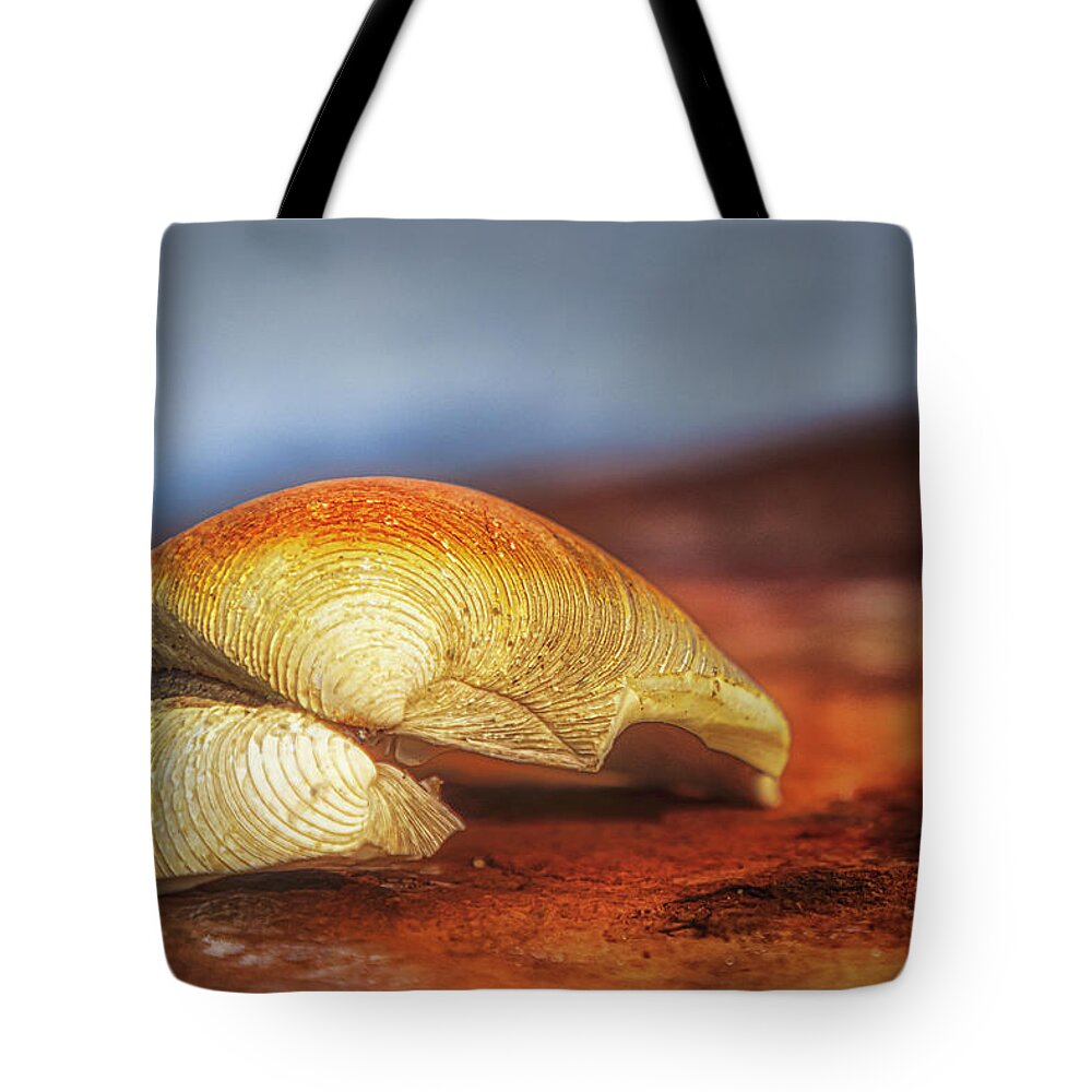 Seashell Tote Bag featuring the photograph Seashell, Ocean And Rust by Susan Candelario