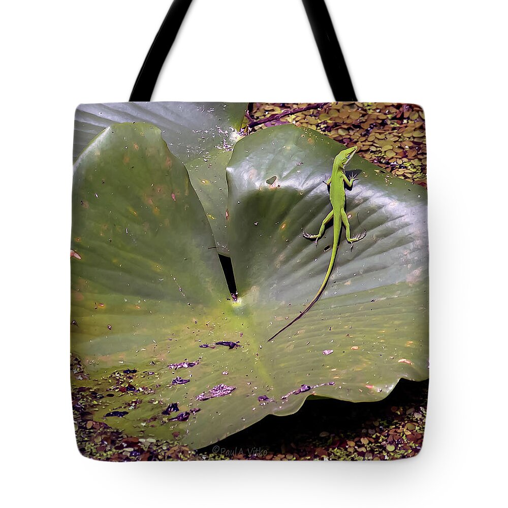 Green Tote Bag featuring the photograph Sebring Lizard by Paul Vitko