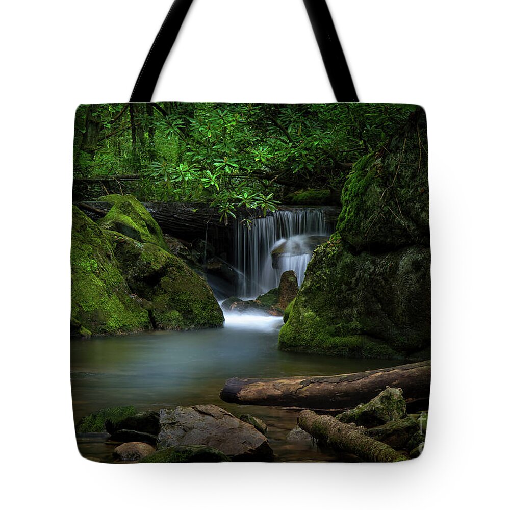 Waterfall Tote Bag featuring the photograph Secluded Waterfall by Shelia Hunt