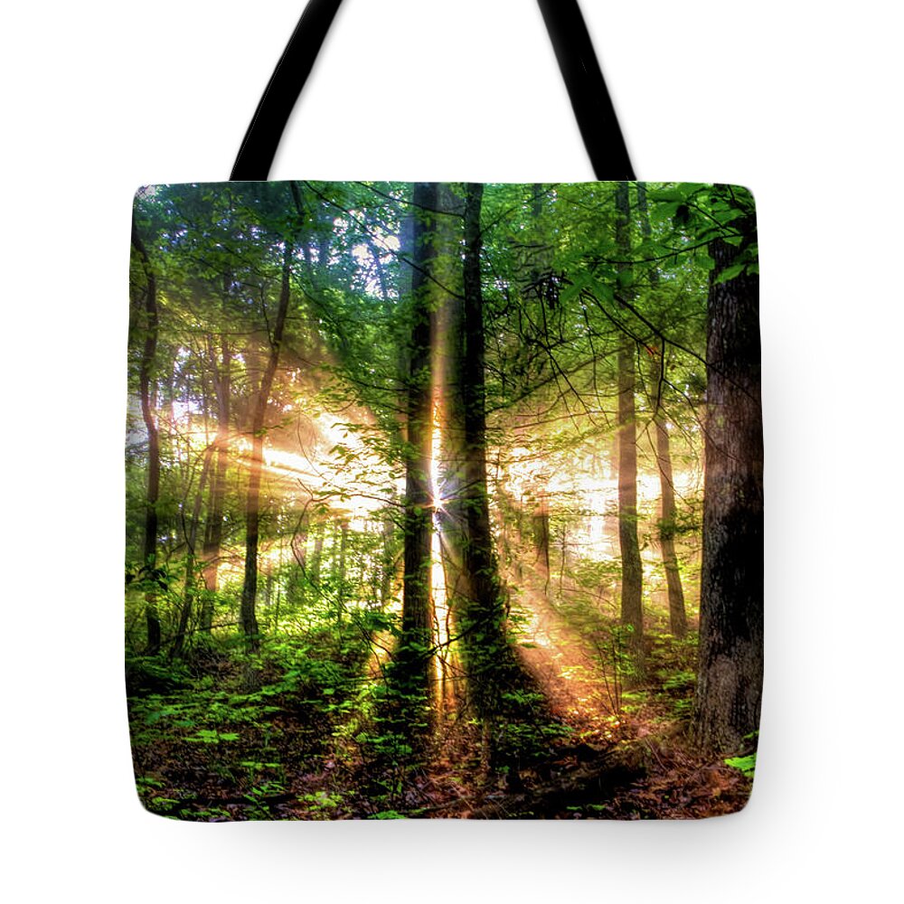 Tree Tote Bag featuring the photograph Second Coming in the Mountains by Debra and Dave Vanderlaan