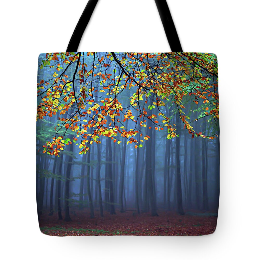 Autumn Tote Bag featuring the photograph Seconds Before The Light Went Out by Roeselien Raimond