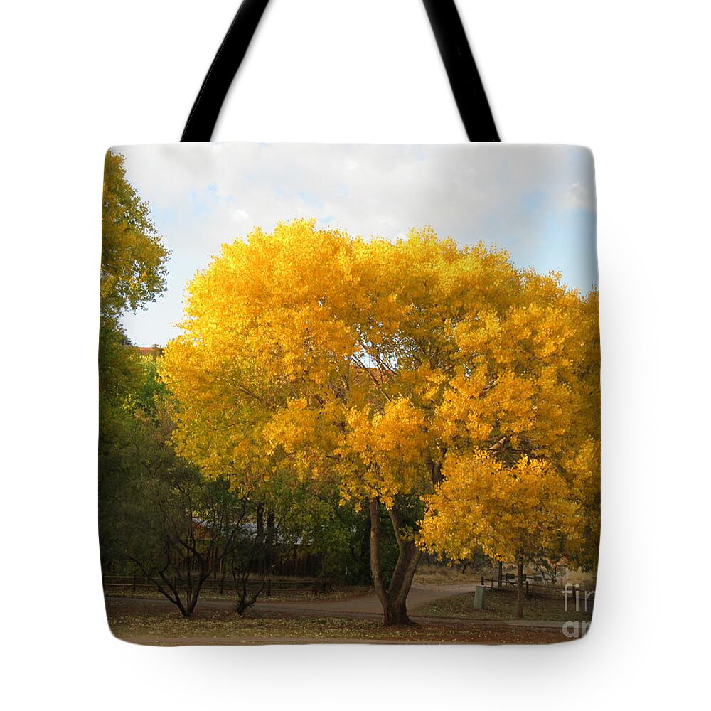 Sedona Tote Bag featuring the photograph Sedona Cottonwood Tree Autumn Yellow Glowing by Mars Besso