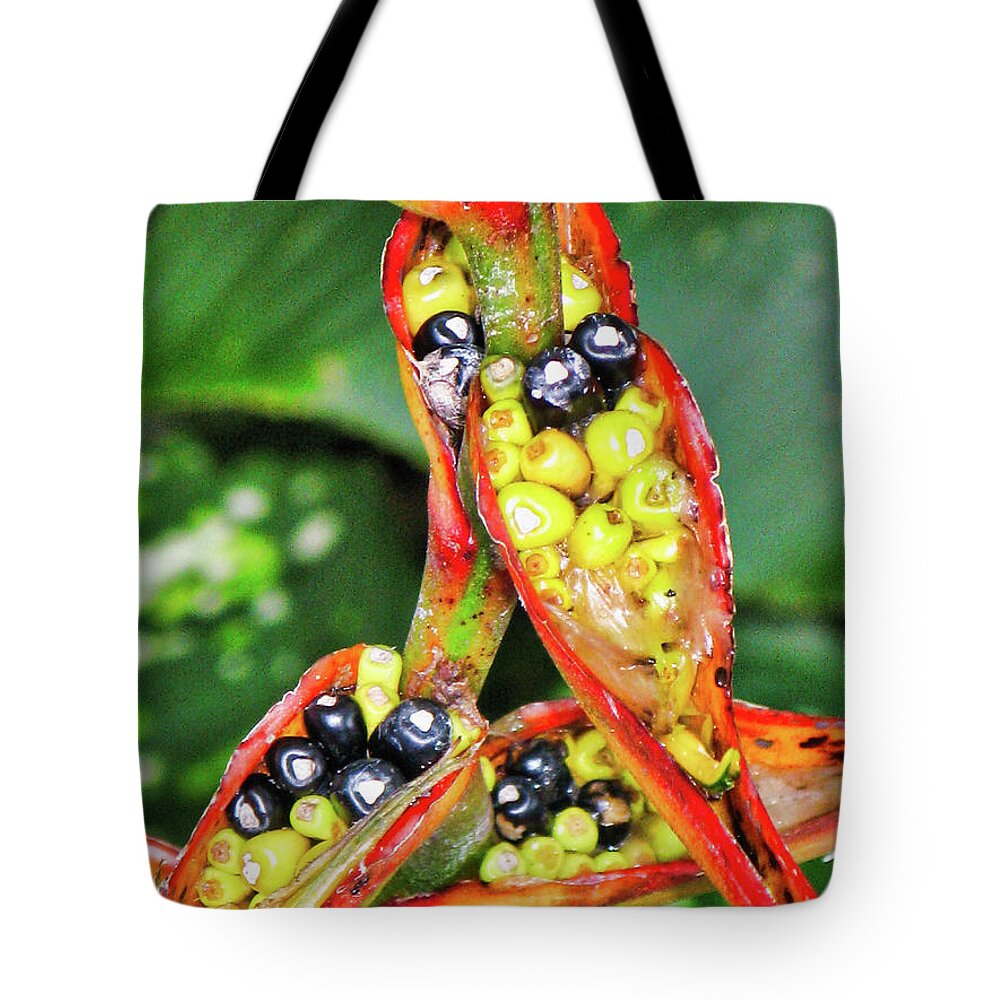 Flora Tote Bag featuring the photograph Seed pods by Segura Shaw Photography