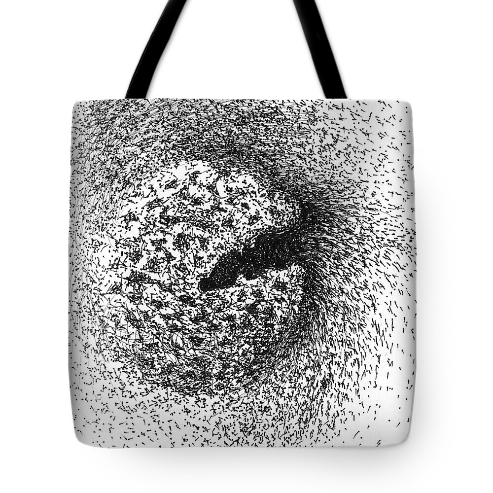 Seed Tote Bag featuring the drawing Seedpod Too by Franci Hepburn