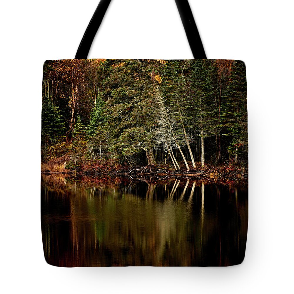 Canada Tote Bag featuring the photograph Sensuous by Doug Gibbons
