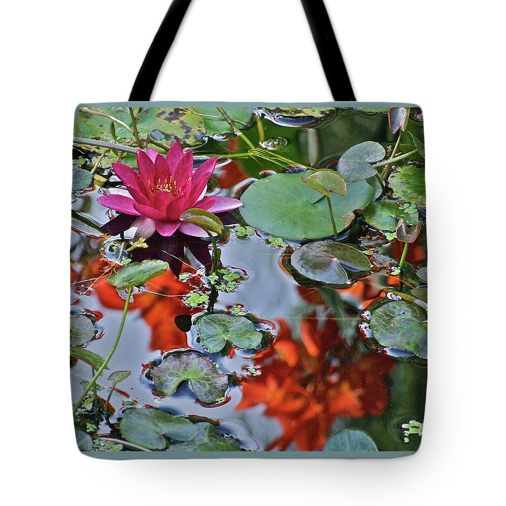 Waterlily: Water Garden Tote Bag featuring the photograph September Rose Water Lily 1 by Janis Senungetuk