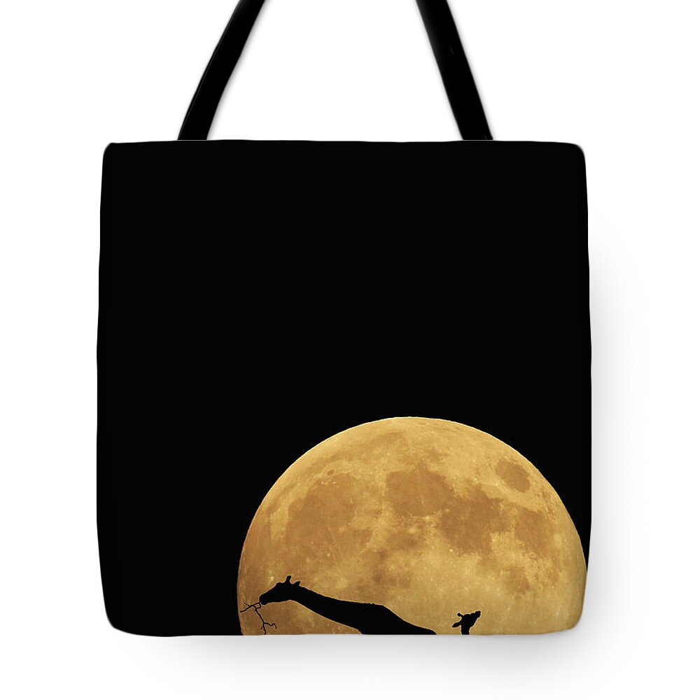 Yellow Tote Bag featuring the photograph Serengeti Safari by Carrie Ann Grippo-Pike