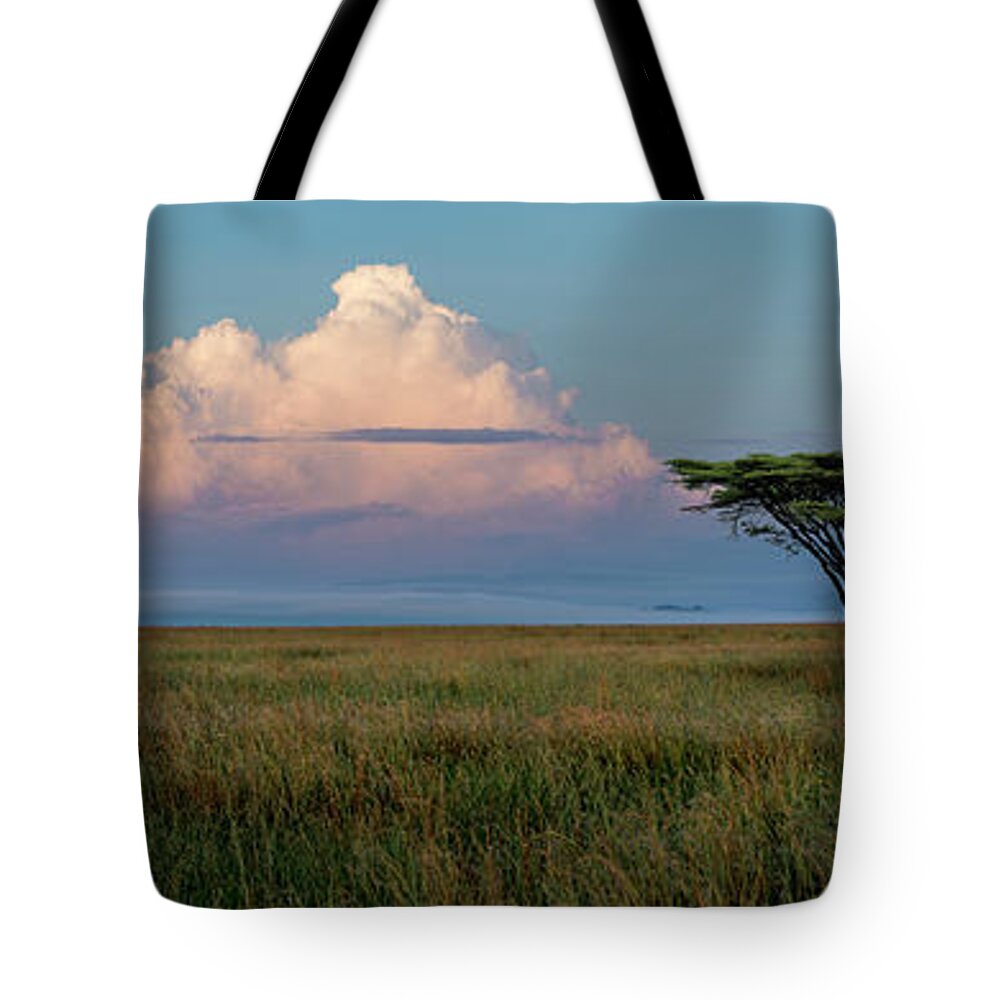 Africa Tote Bag featuring the photograph Serengeti Sunrise by Sandra Bronstein