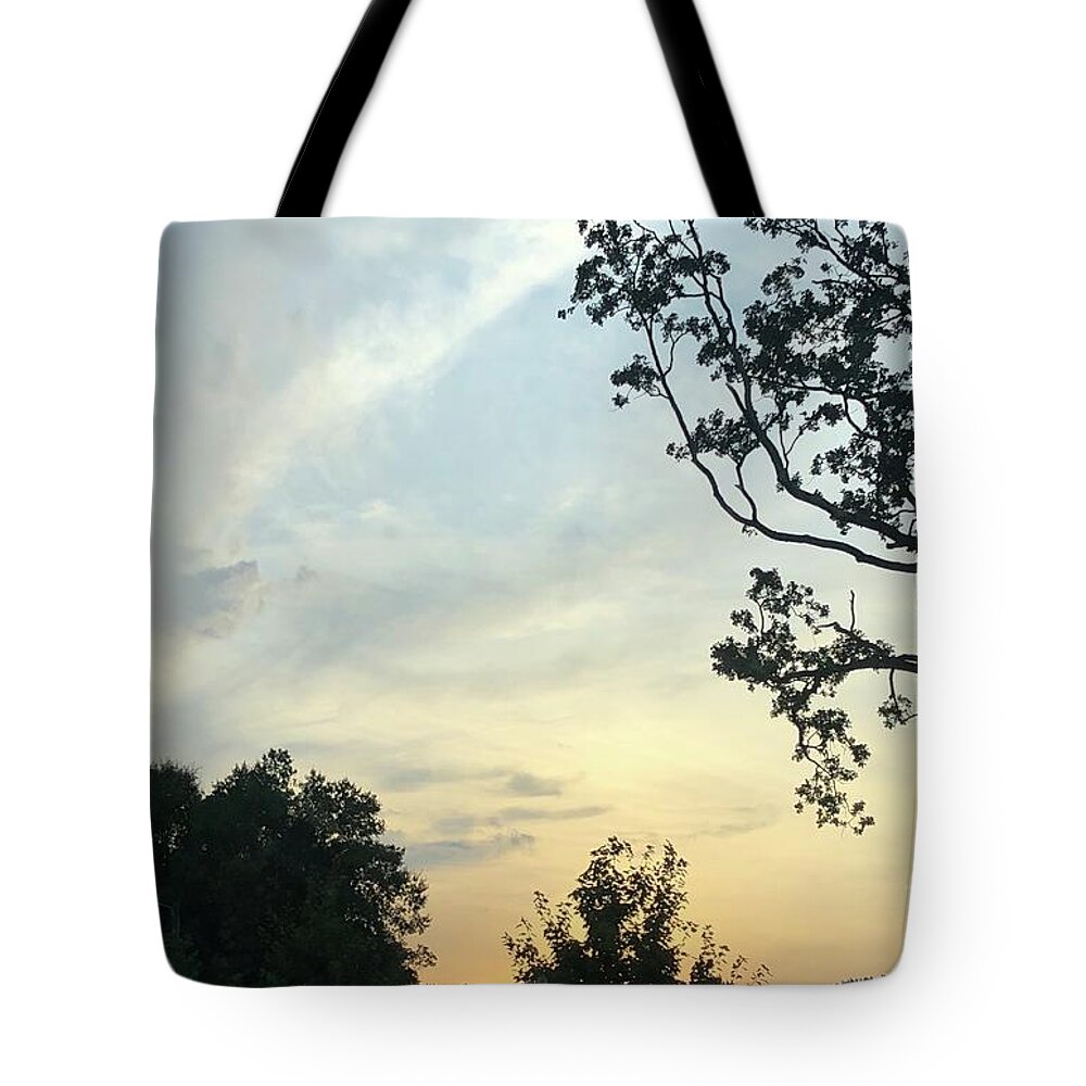 Skies Tote Bag featuring the photograph Serenity by J Hale Turner
