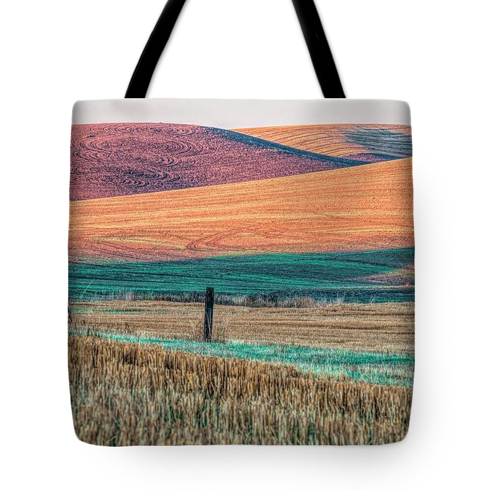 Fall Tote Bag featuring the photograph Shades of Harvest by Pamela Dunn-Parrish