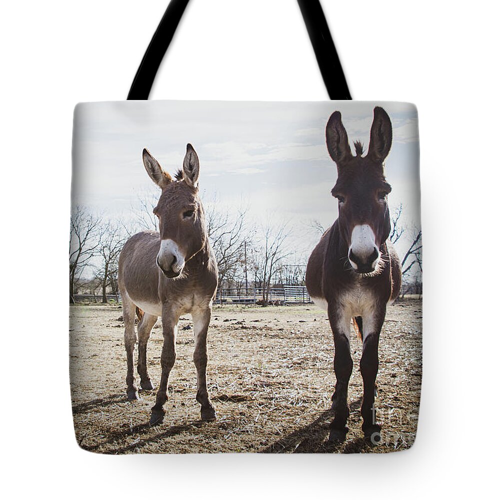 Donkey Tote Bag featuring the photograph Shady Characters by Cheryl McClure