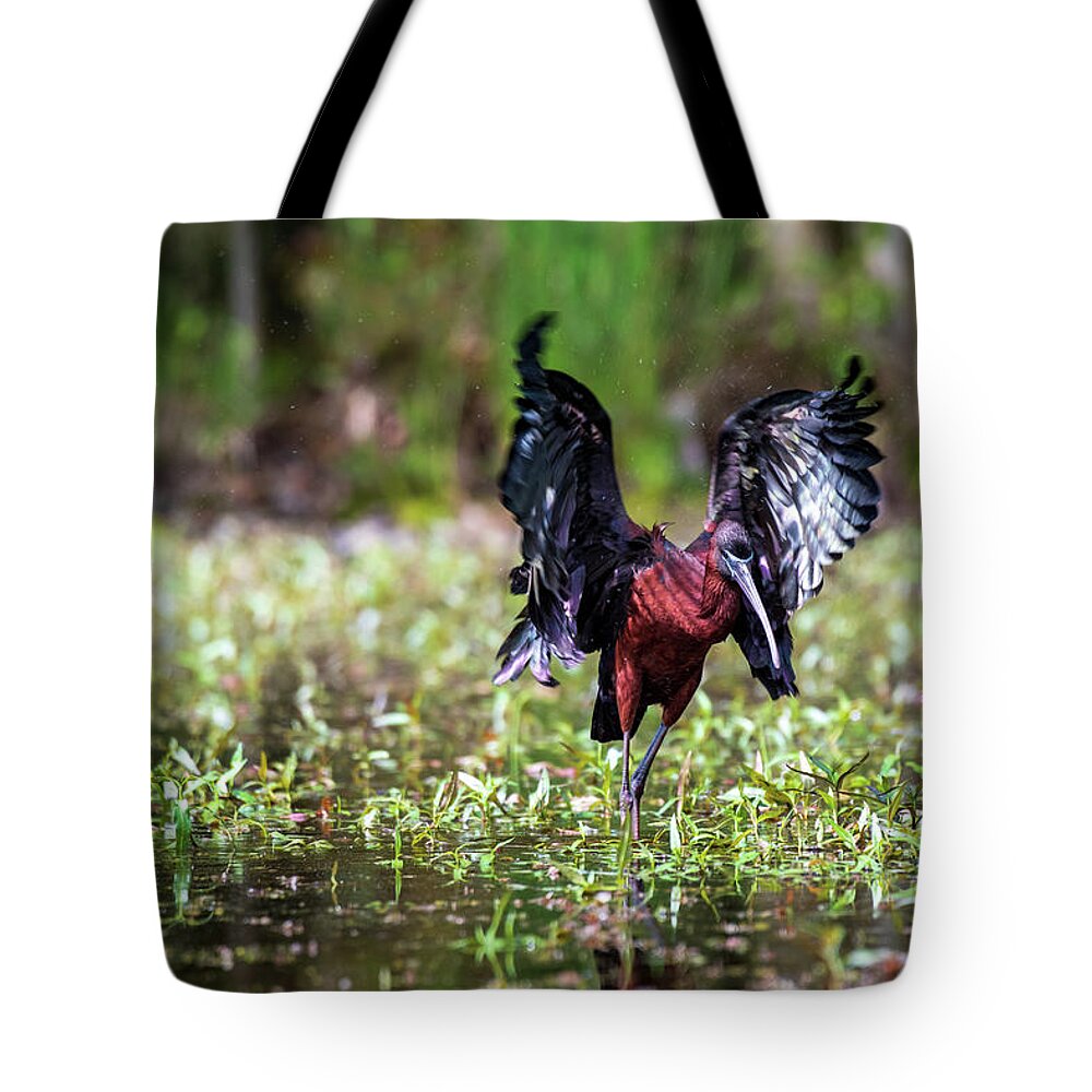 Ibis Tote Bag featuring the photograph Shake it Off by Rose Guinther