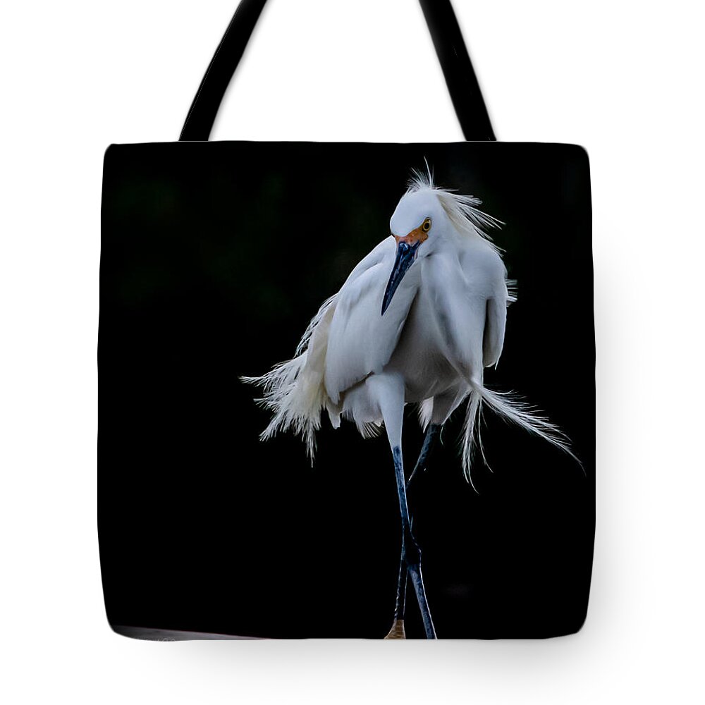 Bird Tote Bag featuring the photograph Shall We Dance by Shara Abel
