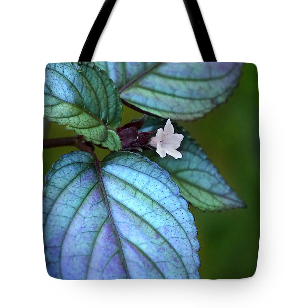 Hawaii Tote Bag featuring the photograph Shapes of Hawaii 4 by Ellen Cotton