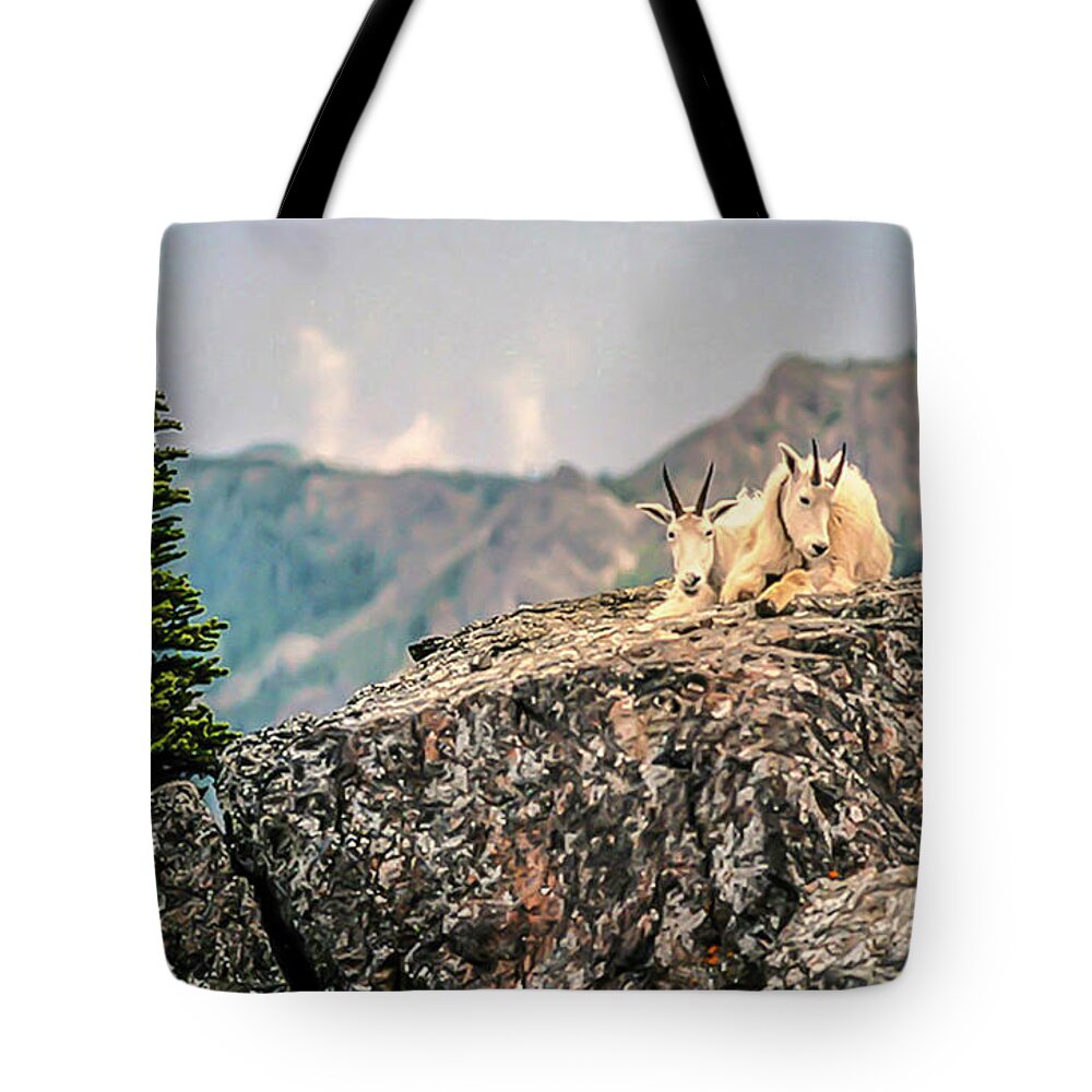 Olympic National Park Tote Bag featuring the photograph Sharing Rest Spot by Doug Scrima