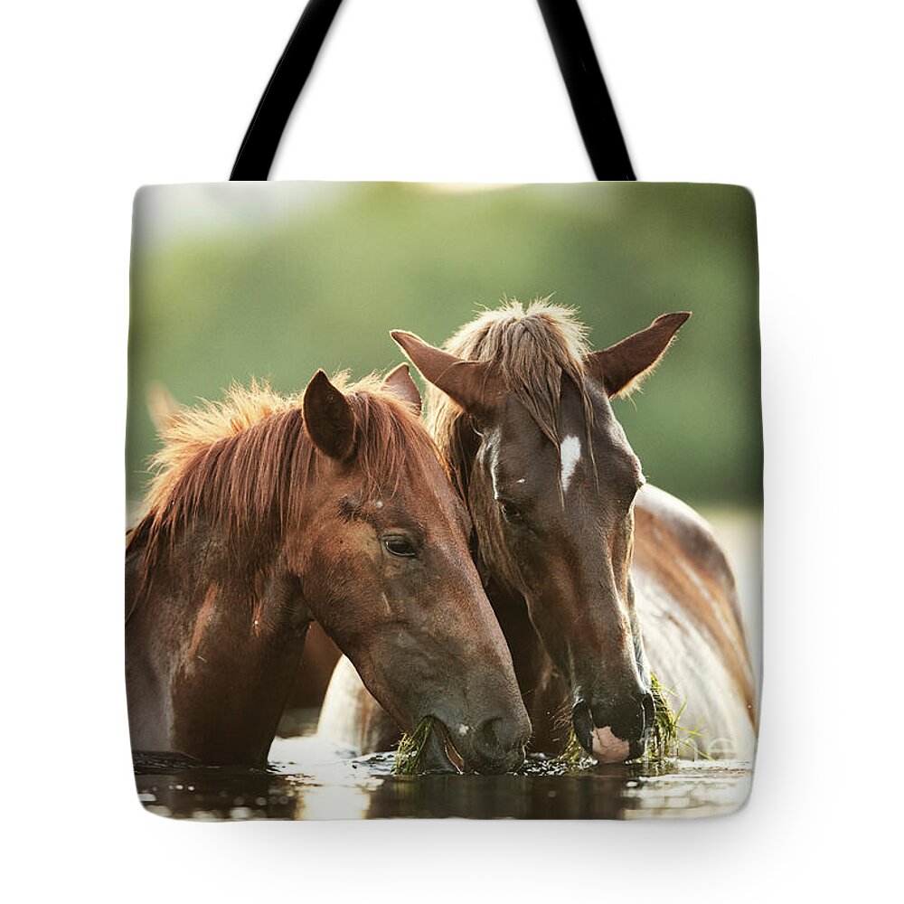 Salt River Wild Horses Tote Bag featuring the photograph Sharing by Shannon Hastings