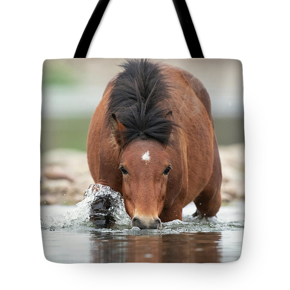 Salt River Wild Horse Tote Bag featuring the photograph Shark by Shannon Hastings