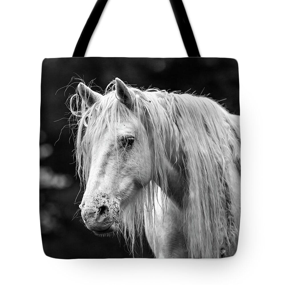 Black And White Tote Bag featuring the photograph Shawnee Mare and Dogwoods by Holly Ross