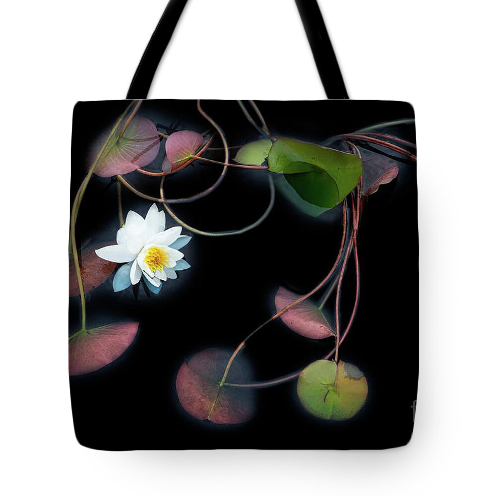 Gardens Tote Bag featuring the photograph She Speaks to the Leaves of Love by Marilyn Cornwell