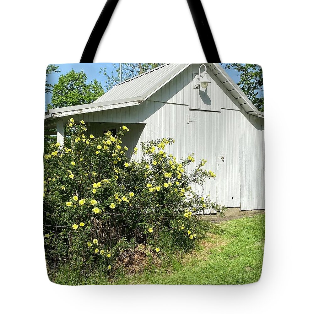  Tote Bag featuring the painting Shed by Anitra Boyt