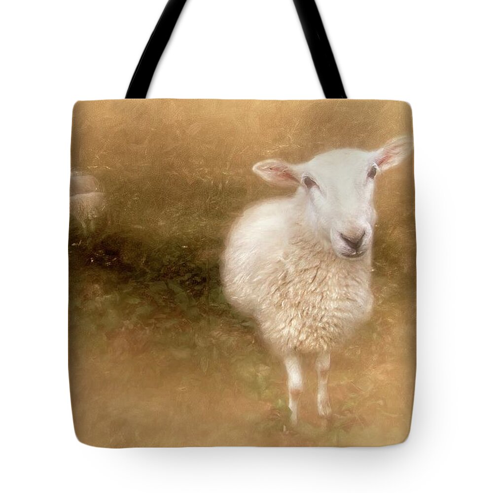 Sheep Tote Bag featuring the photograph Sheep Hear My Voice by Marjorie Whitley