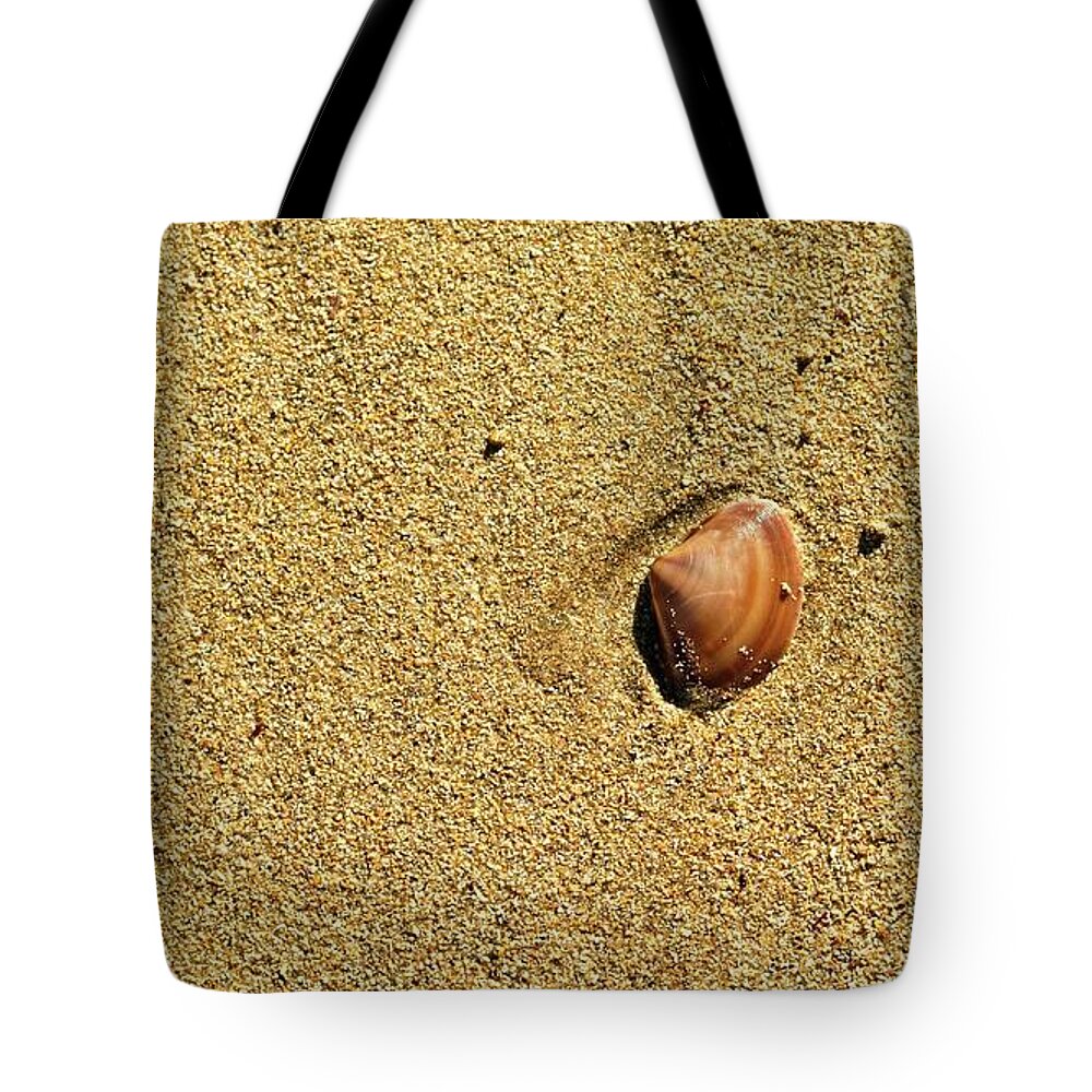 Australia Tote Bag featuring the photograph Shell on Beach I, Denhams Beach, Australia by Steven Ralser