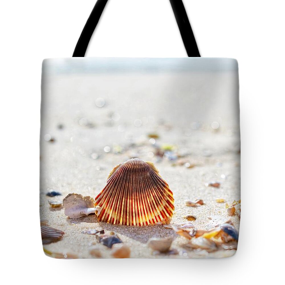 Beach Tote Bag featuring the photograph Shell by Shannon Kelly