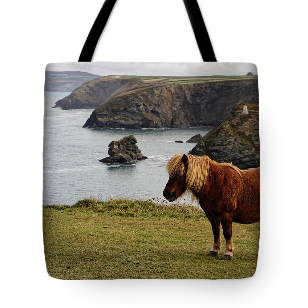 Pony Tote Bag featuring the photograph Shetland Ponies of Cornwall by Shirley Mitchell