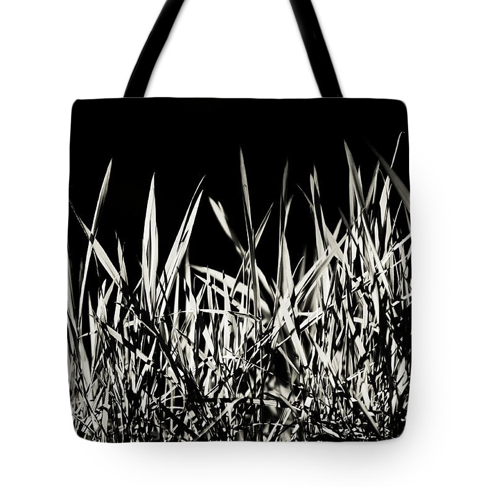  Tote Bag featuring the photograph Shining Grass by Jenny Rainbow
