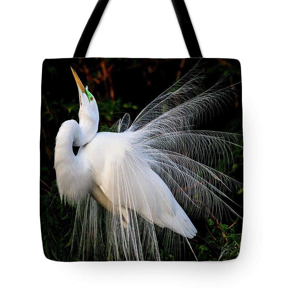 Great Egret Tote Bag featuring the photograph Showoff by Jim Miller