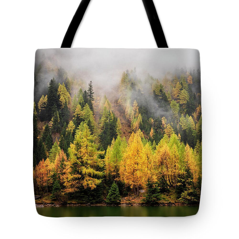 Alpine Tote Bag featuring the photograph Shrouded in mist by Dominique Dubied