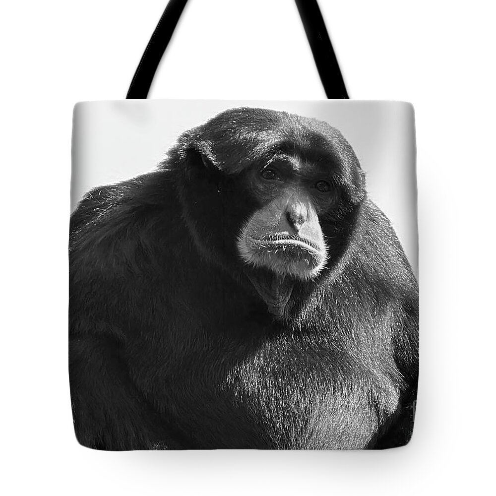 Siamang Tote Bag featuring the photograph Siamang Portrait in Black and White by Bentley Davis