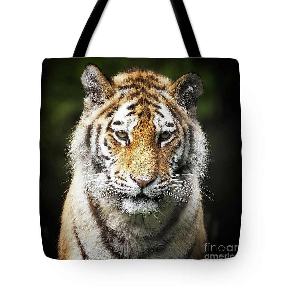 Tiger Tote Bag featuring the photograph Siberian Tiger portrait by Jane Rix