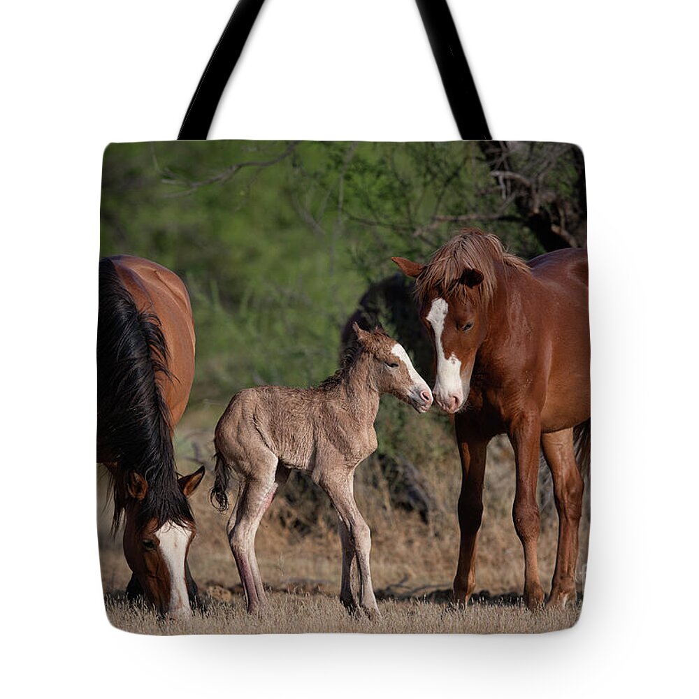 Cute Tote Bag featuring the photograph Sibling Love by Shannon Hastings