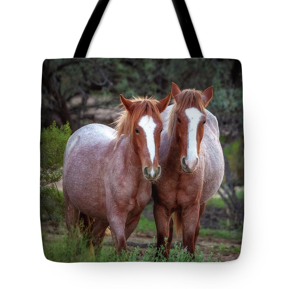 Animal Tote Bag featuring the photograph Siblings by Rick Furmanek